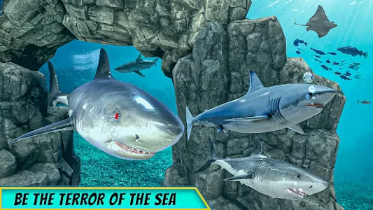 Big Shark Vs Small Sharks screenshot 8