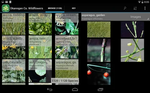 North and South Dakota Plants screenshot 4