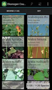 North and South Dakota Plants screenshot 5