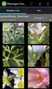 North and South Dakota Plants screenshot 6
