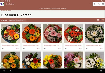 Ouwehand Bloemen screenshot 7