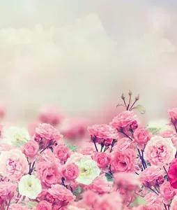 Flowers Wallpaper screenshot 1