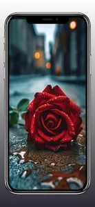 Flower Wallpapers HD 4k screenshot 1