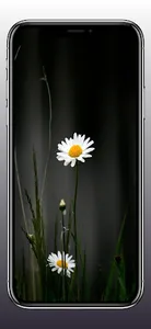 Flower Wallpapers HD 4k screenshot 4