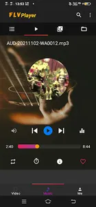 FLV Player - Media Player App screenshot 4
