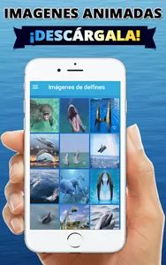 Fondos de pantalla de delfines screenshot 0