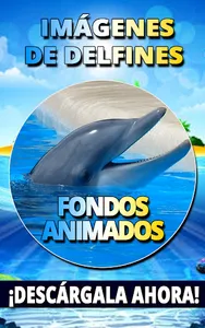Fondos de pantalla de delfines screenshot 1