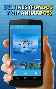 Fondos de pantalla de delfines screenshot 4
