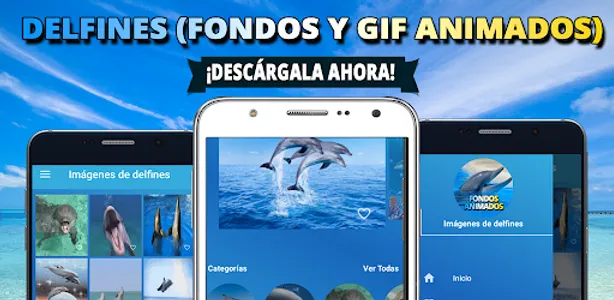 Fondos de pantalla de delfines screenshot 5