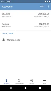 First National Bank Fulda, MN screenshot 2