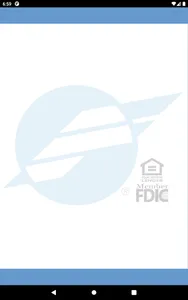 First National Bank Fulda, MN screenshot 4