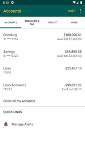 First National Bank of Nokomis screenshot 2
