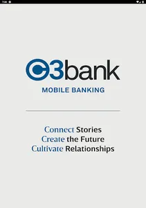 C3bank screenshot 10