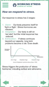 Working Stress screenshot 4