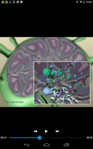 Infectious Diseases - Dict. screenshot 7
