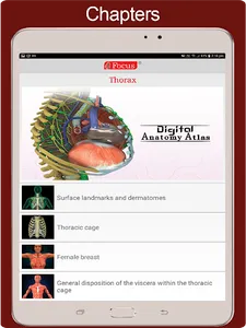 Thorax screenshot 6