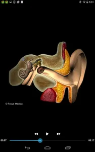 Otolaryngology-Dictionary screenshot 7