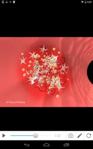 Cholesterol screenshot 5
