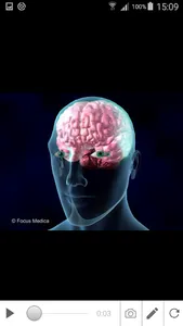 Schizophrenia screenshot 2
