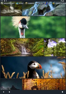 Красивые картинки от Fonwall screenshot 3