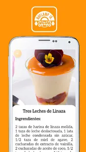 Naylamp IA screenshot 1