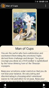 Voyager Tarot screenshot 1