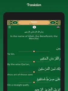 Quran Player Pro screenshot 11