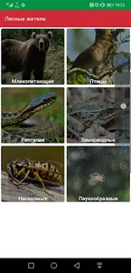Лесные жители screenshot 0