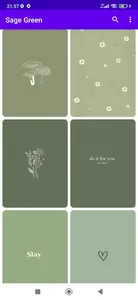 Sage Green Wallpaper screenshot 2