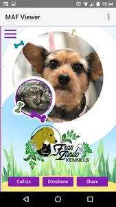 Fran Zando Kennels screenshot 0