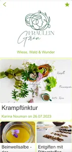 Fräulein Grün screenshot 3