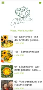 Fräulein Grün screenshot 4