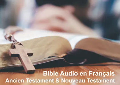 Bible Audio en Français mp3 screenshot 4