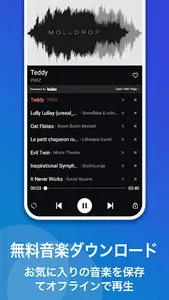 FM Music - 無制限の音楽, ミュージックFM screenshot 2