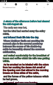 zBook: The Leatherwood God screenshot 5