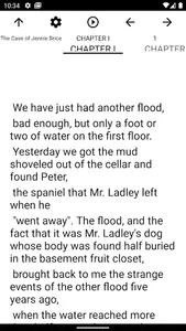 Book, The Case of Jennie Brice screenshot 1