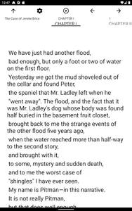Book, The Case of Jennie Brice screenshot 3