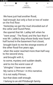 Book, The Case of Jennie Brice screenshot 5