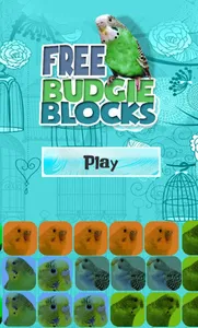 Budgie Blocks screenshot 0