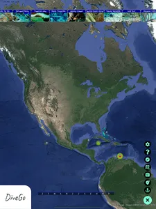 DiveGo+ screenshot 17