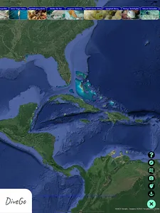 DiveGo+ screenshot 9