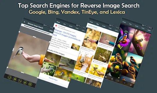 Reverse Image Search Ai Based screenshot 14