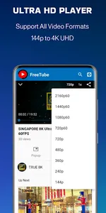 FreeTube screenshot 4