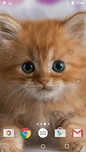 Cute Kittens Live Wallpaper screenshot 16