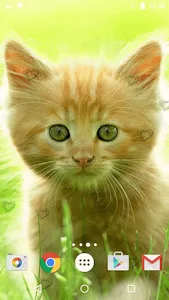 Cute Kittens Live Wallpaper screenshot 18