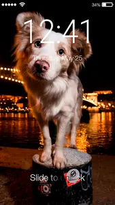 Doggy Puppy Cute Wallpaper The screenshot 0