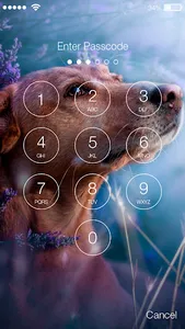 Doggy Puppy Cute Wallpaper The screenshot 1