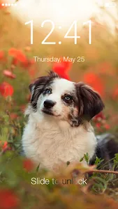 Dog Puppy HD Wallpaper Cute Sc screenshot 0