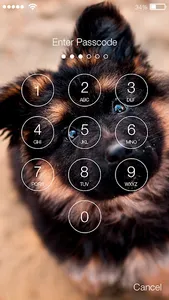Dog Puppy HD Wallpaper Cute Sc screenshot 1