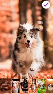 Dog Puppy HD Wallpaper Cute Sc screenshot 2